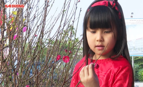 Rộn ràng chợ hoa ngày Tết